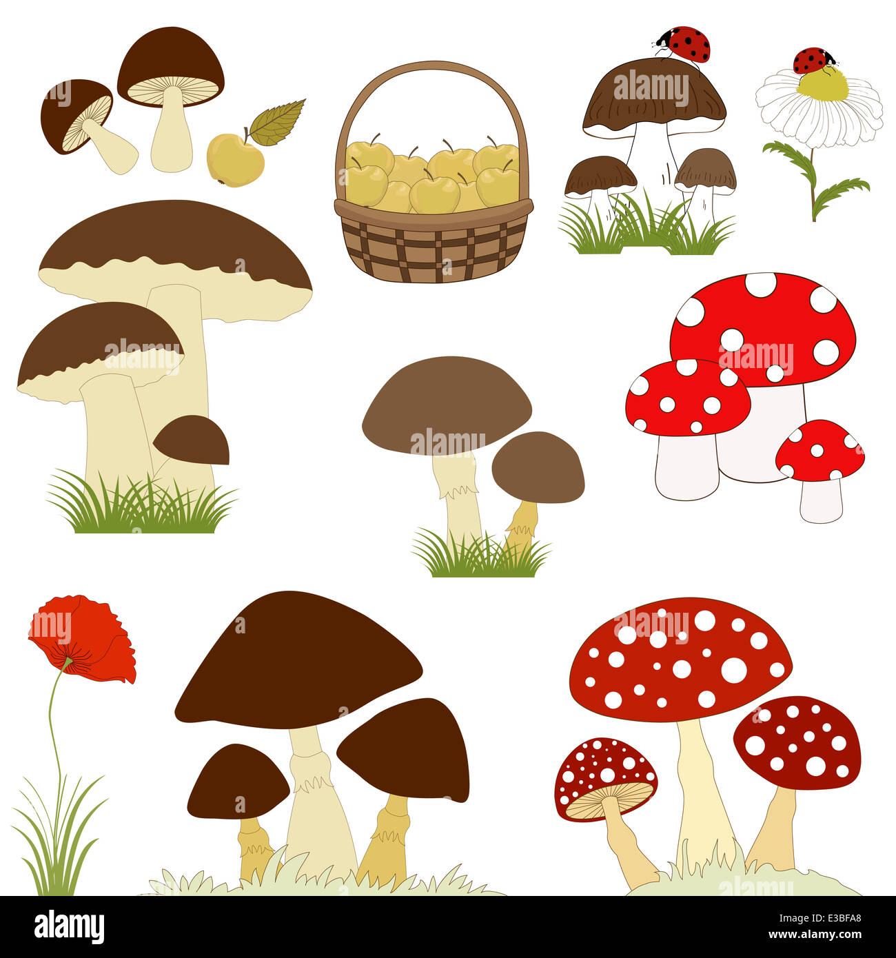 Cartoon mushrooms hi-res stock photography and images - Alamy