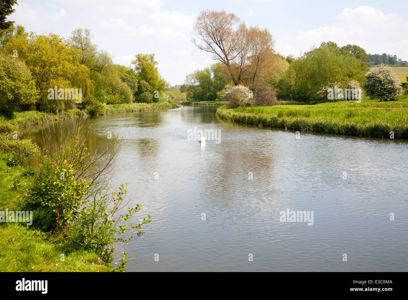 River Avon chalk river at Middle Woodford, Woodford Valley, near