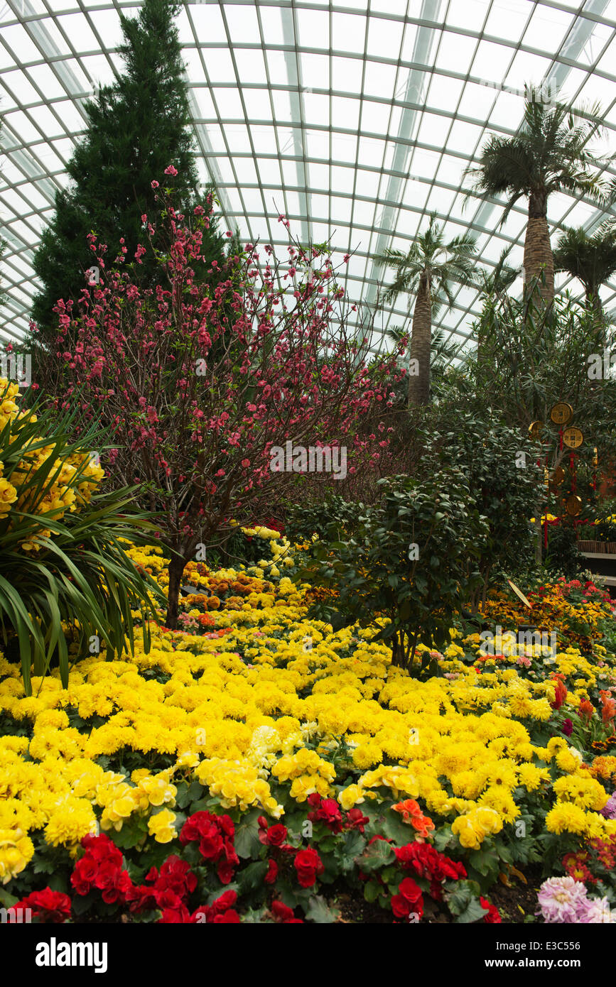 Blooming flowers inside Flower Dome, part of Gardens by the Bay Stock