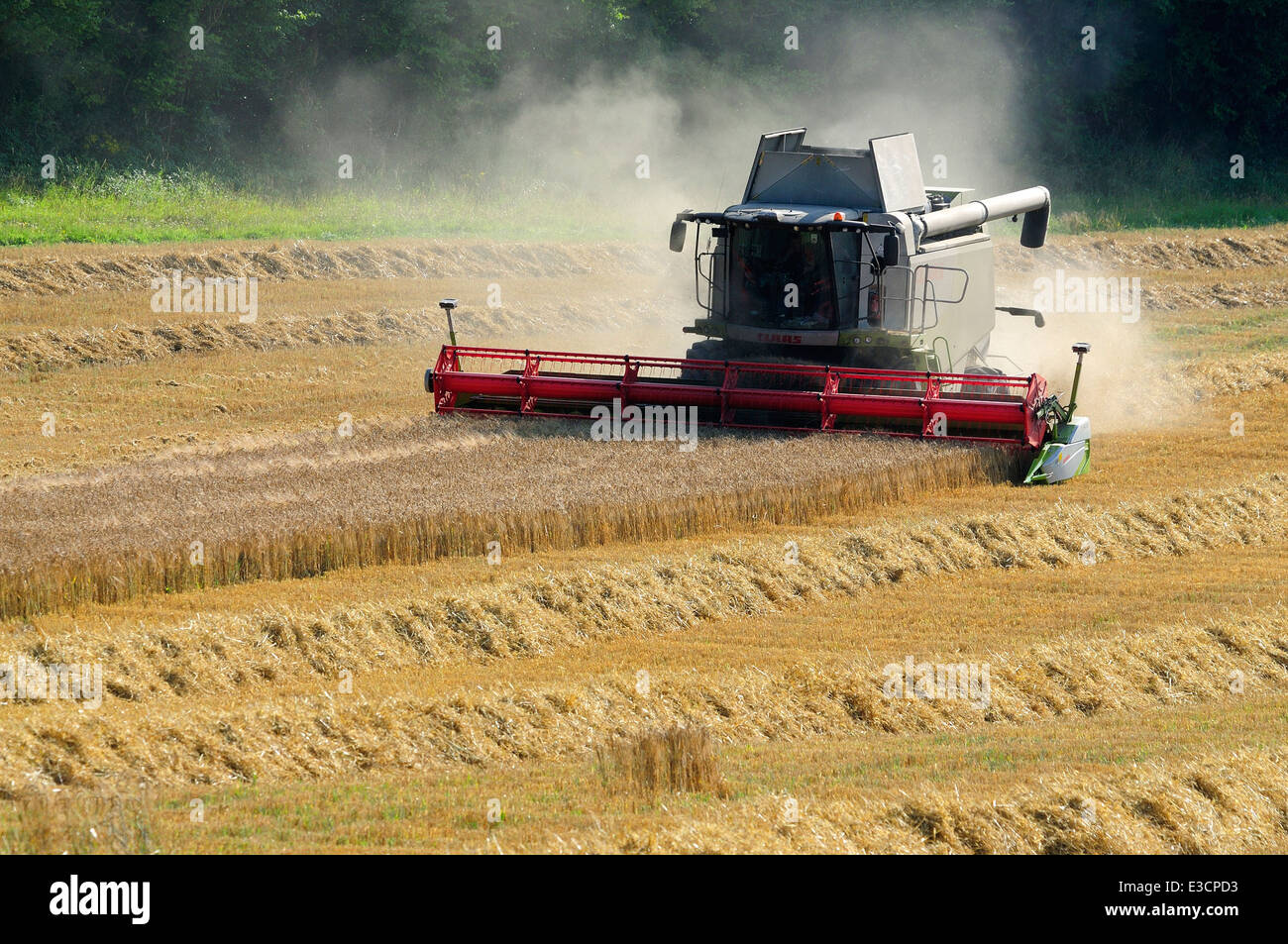 Combine harvester at work. Wiltshire, UK Stock Photo Alamy