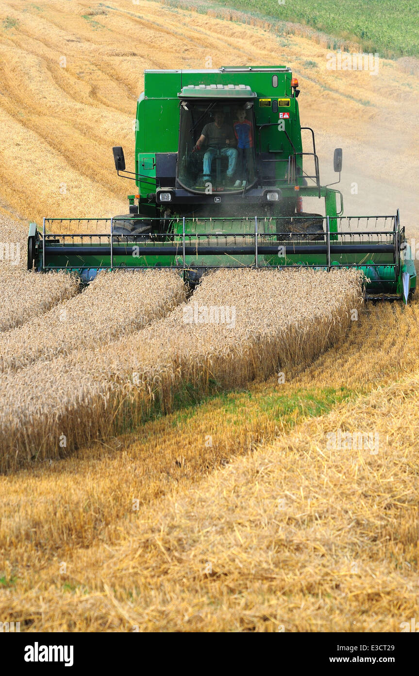 Harvesting near Great Bedwyn, Wiltshire Stock Photo