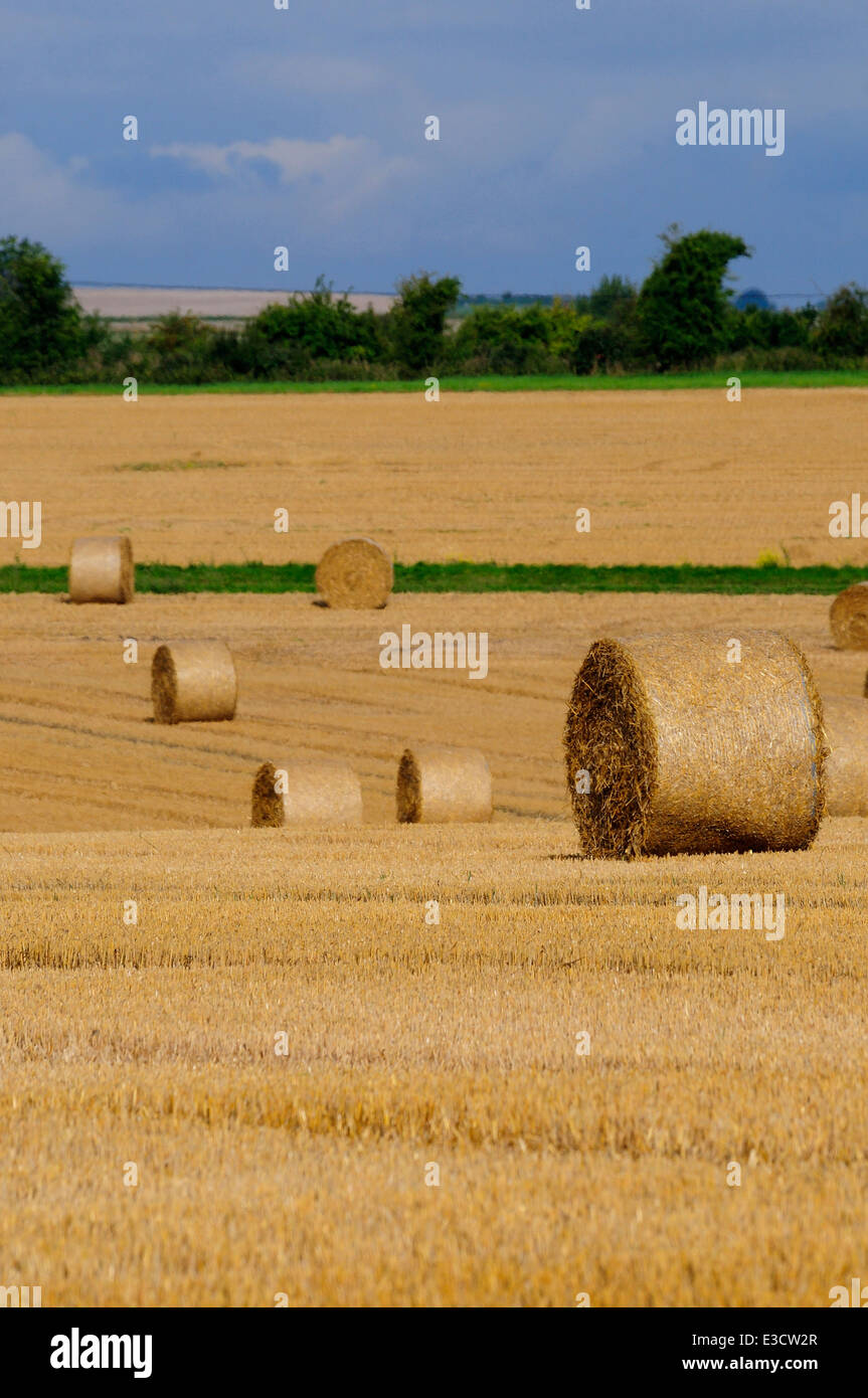 Harvest round bales near All Cannings, Wiltshire, UK Stock Photo