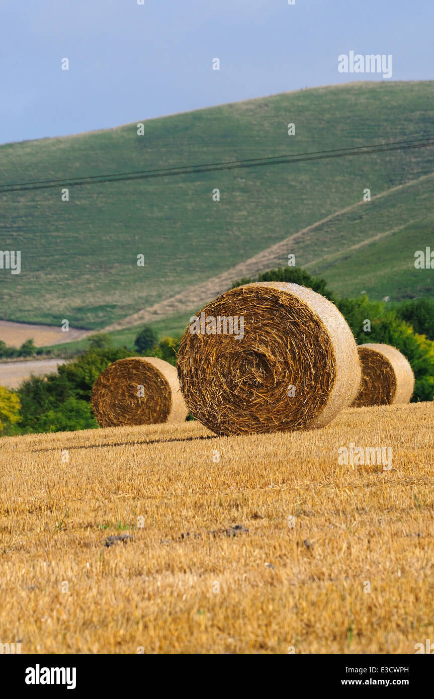 Harvest round bales near All Cannings, Wiltshire, UK Stock Photo
