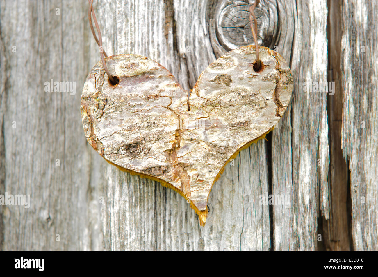 carved wooden heart on bark tree Stock Photo