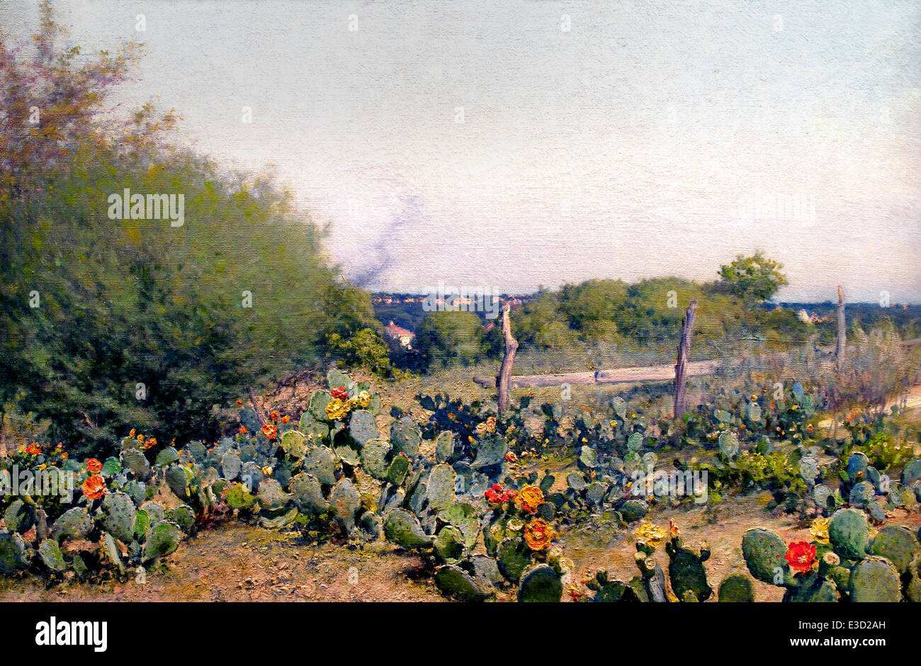 Chumberas en Flor - Blossom Cacti 1890 Jose Arpa 1860-1890 Spain Spanish Stock Photo