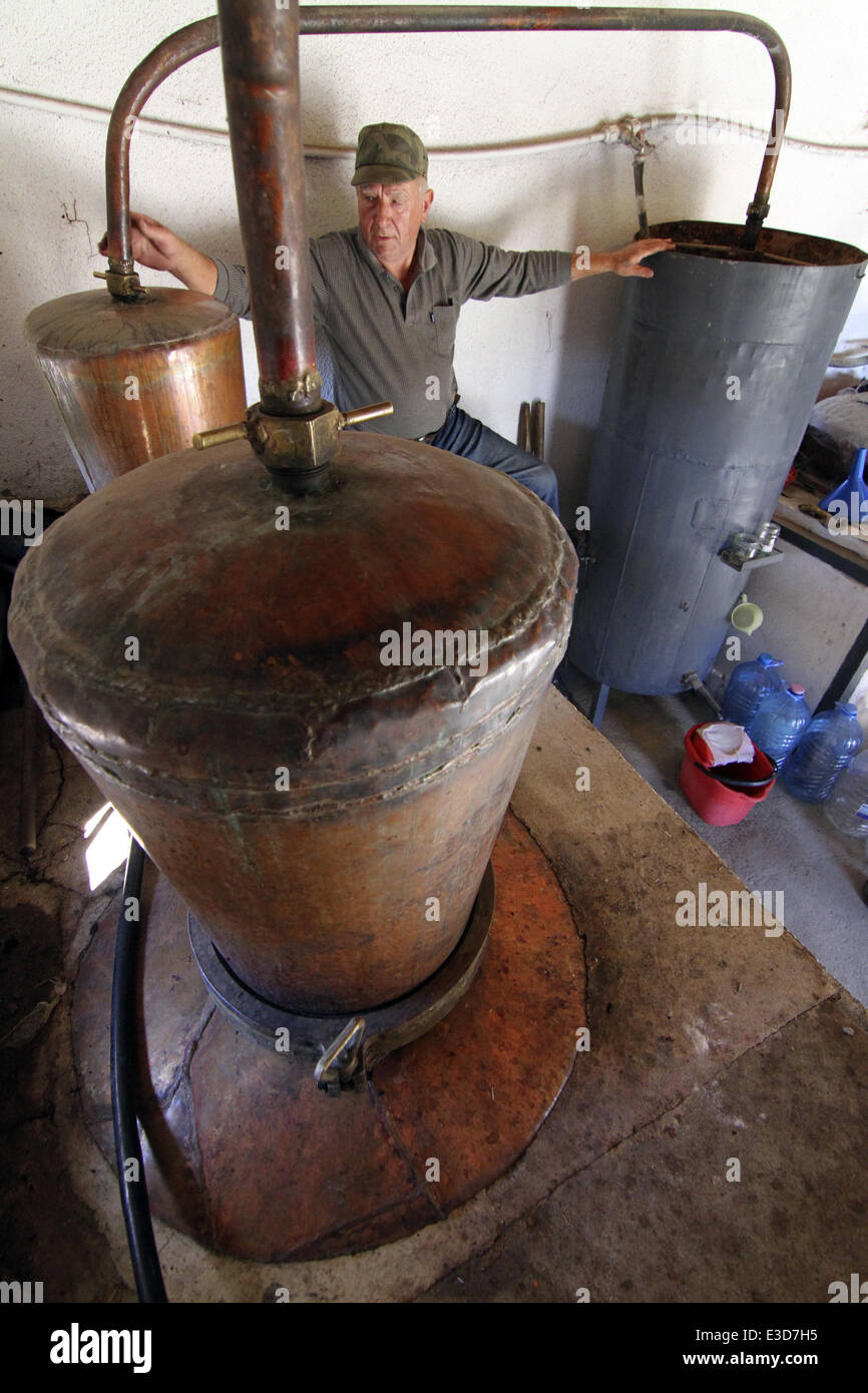 A Bulgarian man checks the alcoholic quality at a small home raki ...