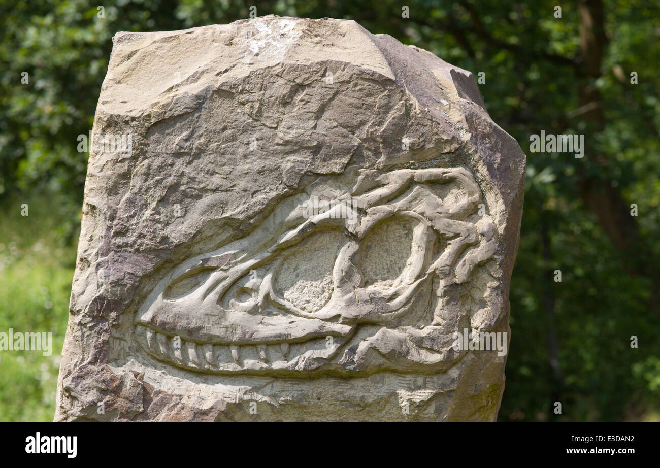 Carving in the childrens play area of Yarrow Valley Country Park in Coppull, Lancashire, UK. Stock Photo