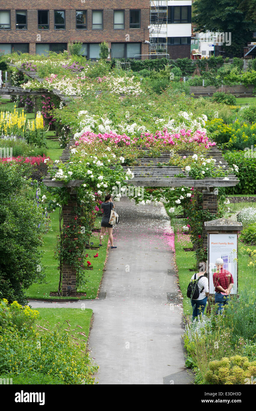 Walled Herb Garden and Rose Pergola at Kew Gardens, London, UK Stock Photo