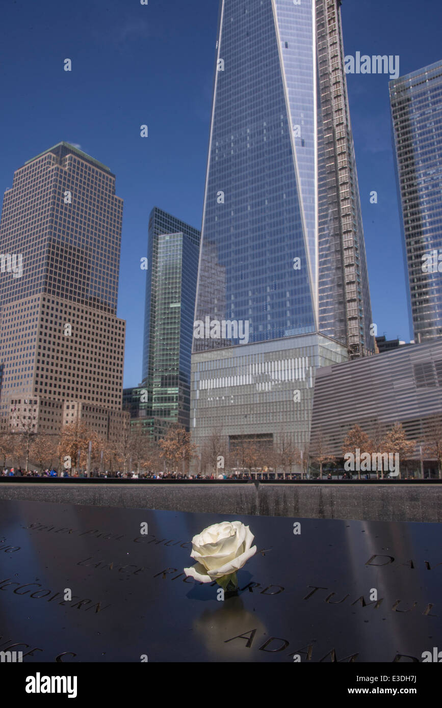 The National September 11 Memorial  where the Twin Towers once stood. A white rose signals a victims birthday Stock Photo