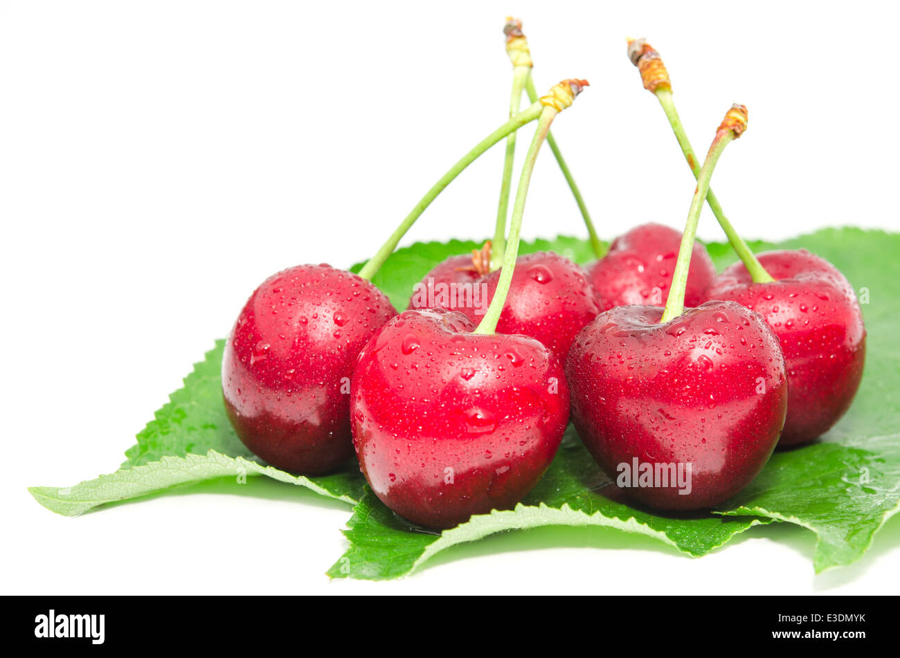 Cherry fruits with leaves hi-res stock photography and images - Alamy