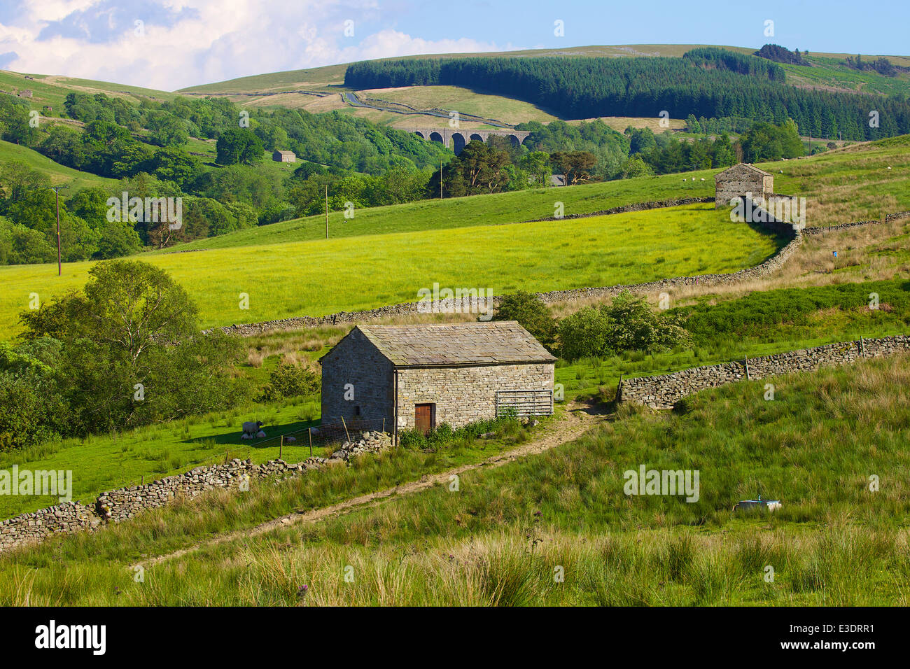 Stone barns near Dent Head Viaduct, Dent, Cumbria, Yorkshire Dales