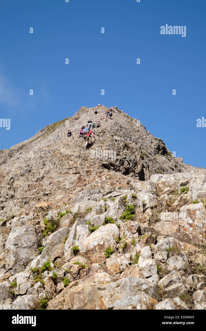 Hikers Scrambling Up Red Rocks Of Crib Goch At Start Of Snowdon hikers-scrambling-up-red-rocks-of-crib-goch-at-start-of-snowdon
