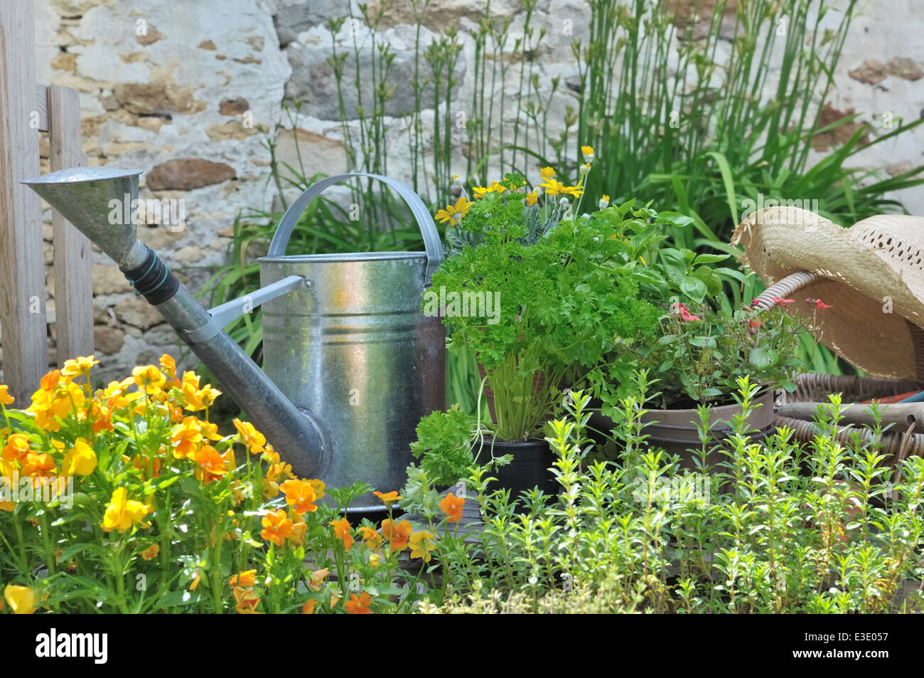 дачные травы. дачные травы. чаепитие с травами. качели садовые "габби". девушка в саду.