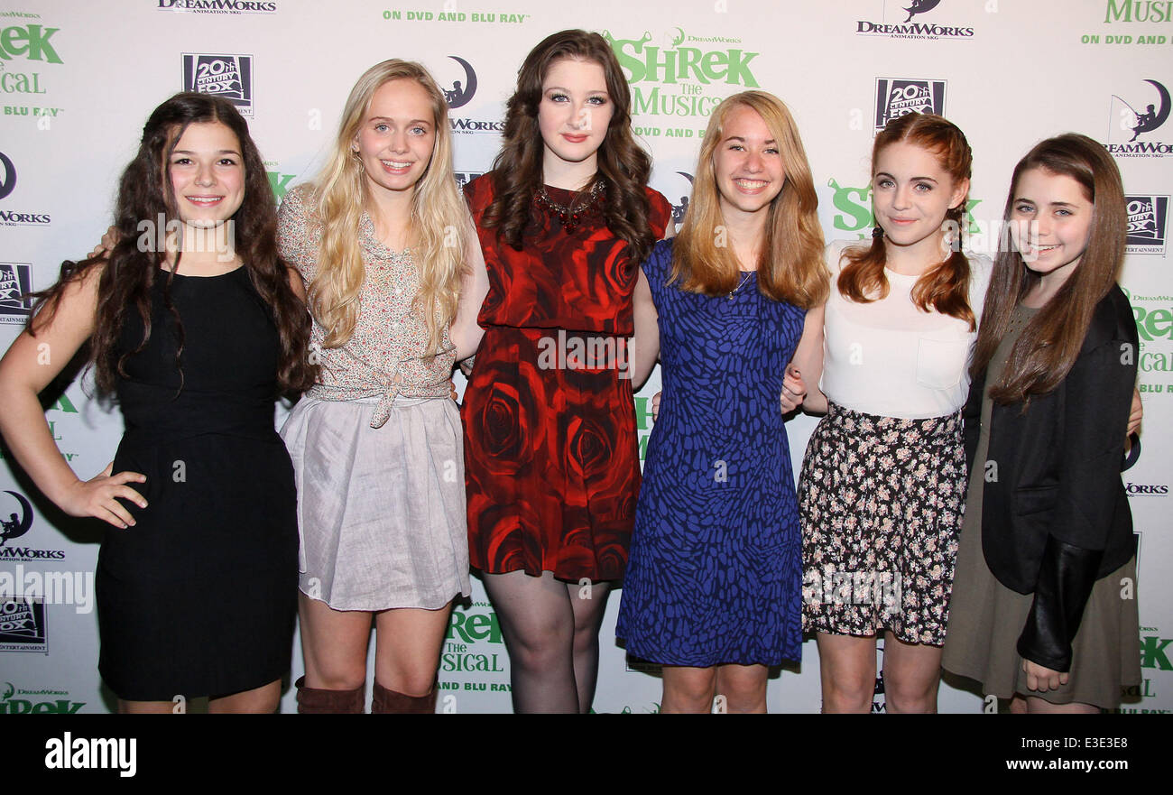 Release party for the Bluray/DVD of Shrek The Musical, held at Hudson