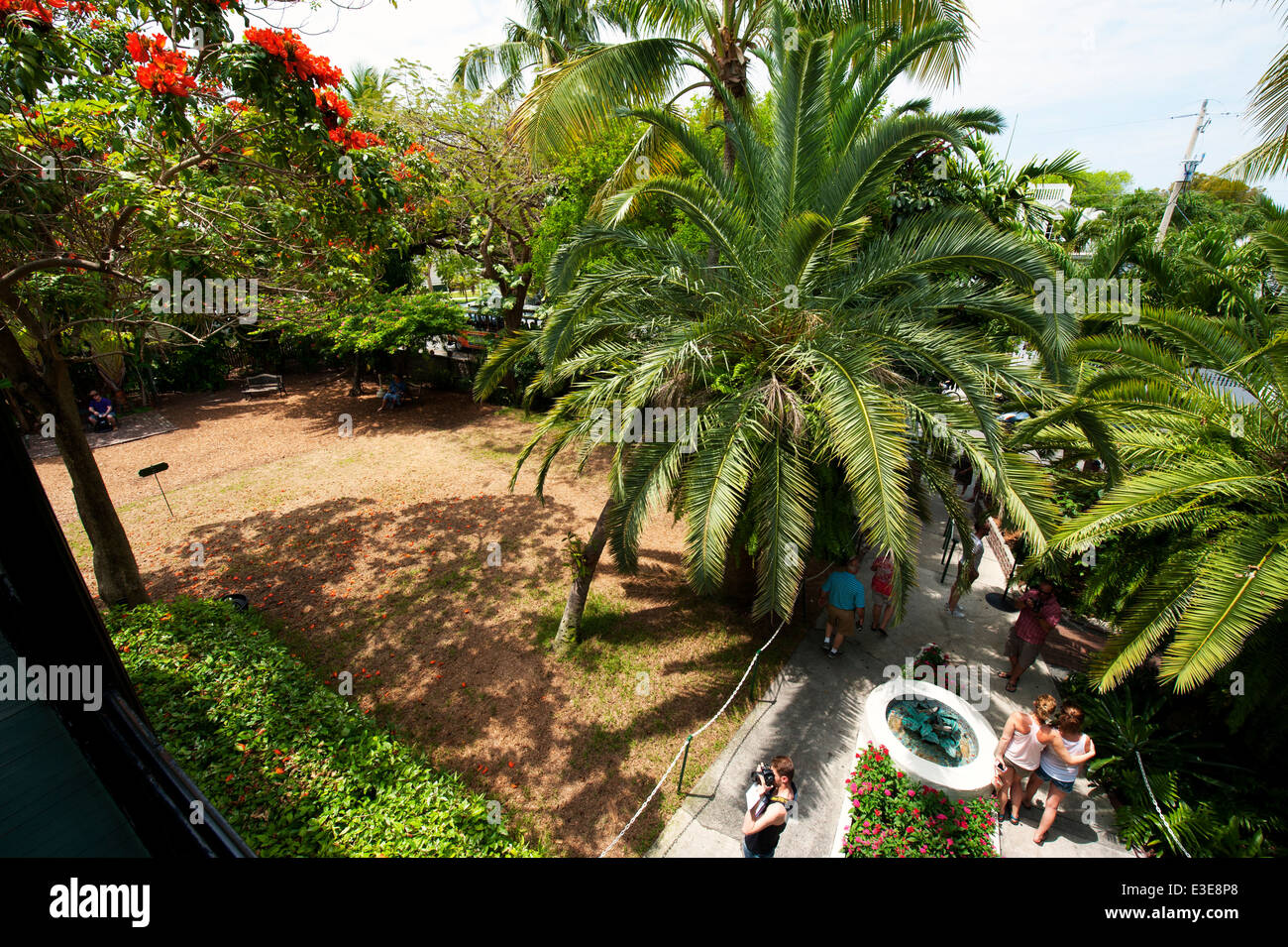 Hemingway's house, Key West, Miami, Florida USA Stock Photo Alamy