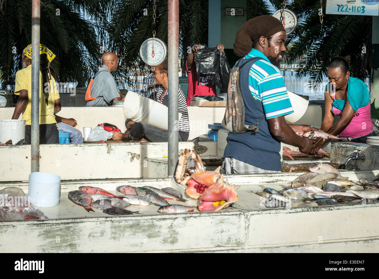 St. Johns Public Fish Market, St. John's, Antigua Stock Photo ...