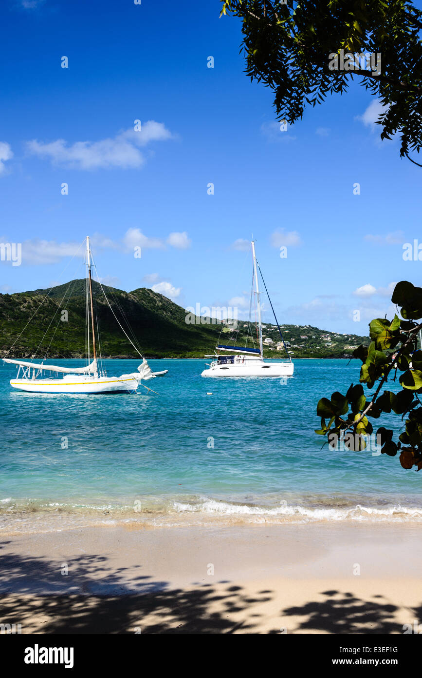 Boats moored in Falmouth Harbour, Antigua Stock Photo