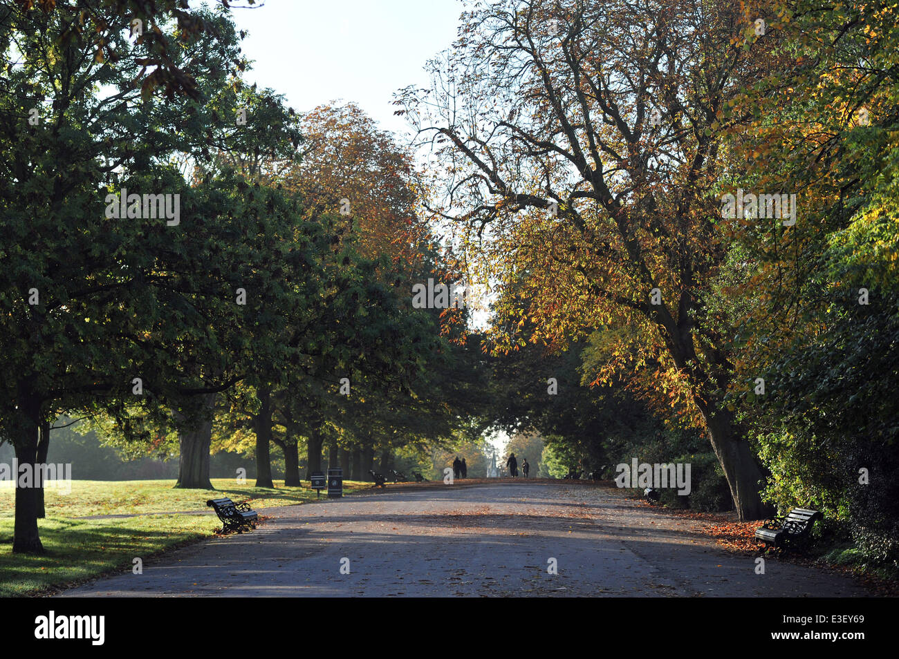 People enjoy the sunny autumn weather in London's Regent's Park and