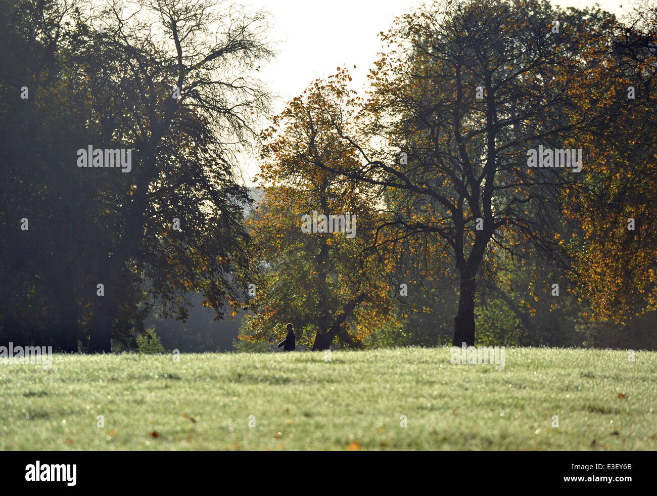 People enjoy the sunny autumn weather in London's Regent's Park and