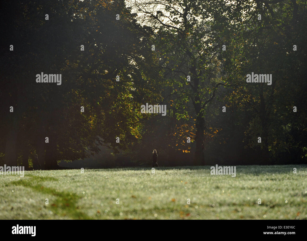 People enjoy the sunny autumn weather in London's Regent's Park and