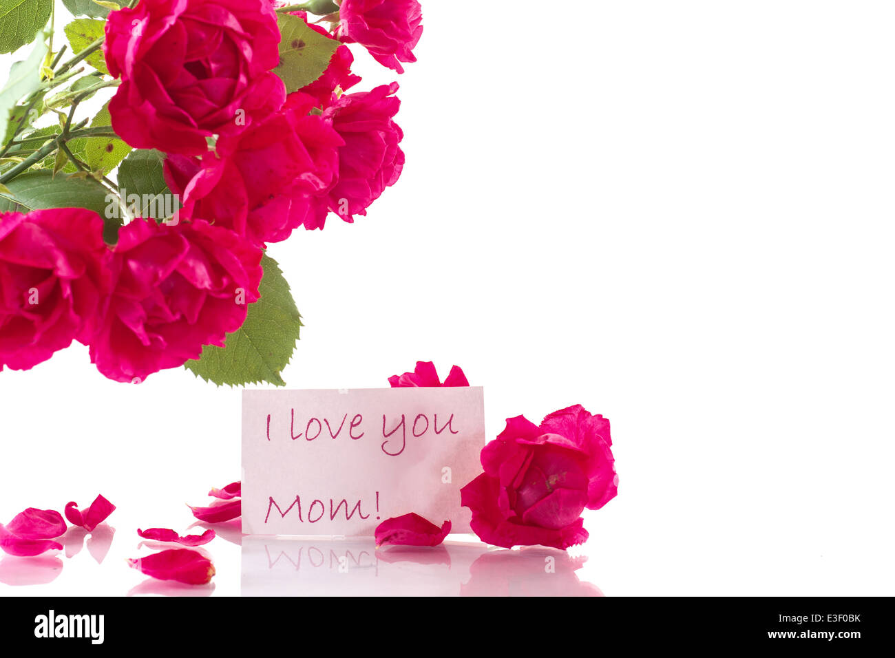 bouquet of red roses on a white background Stock Photo - Alamy
