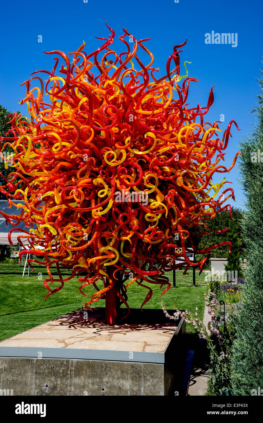 Dale Chihuly handblown glass art exhibit at the Denver Botanic Gardens