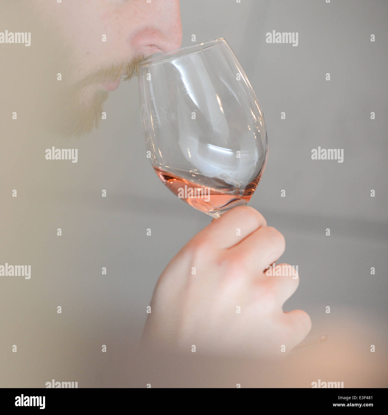 Tasting wine in a vinery Stock Photo - Alamy