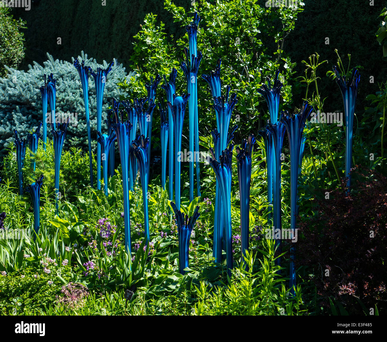 Dale Chihuly handblown glass art exhibit at the Denver Botanic Gardens Stock Photo Alamy
