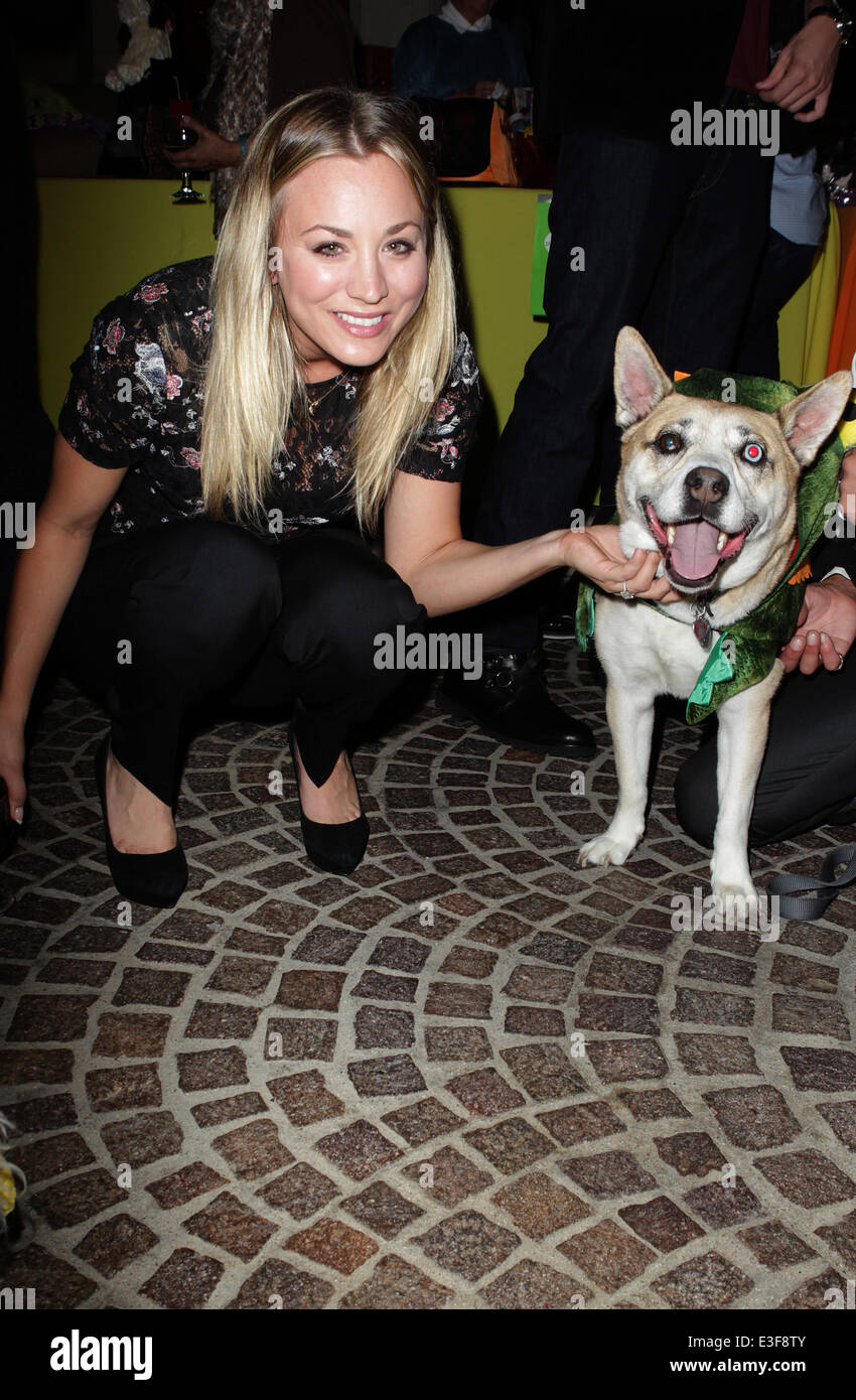 The Amanda Foundation's Annual Bow Wow Beverly Hills Halloween Event at
