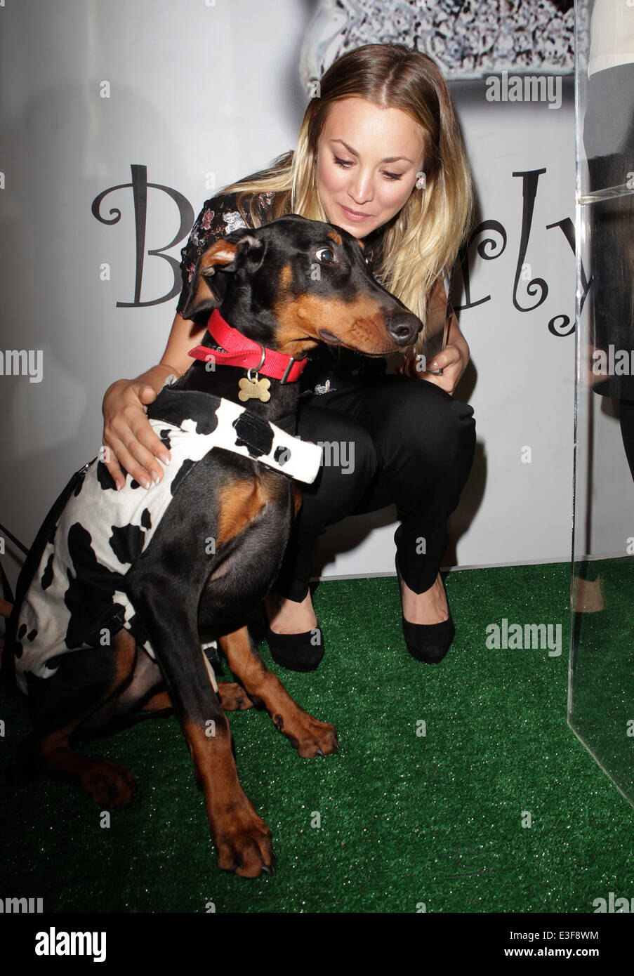 The Amanda Foundation's Annual Bow Wow Beverly Hills Halloween Event at