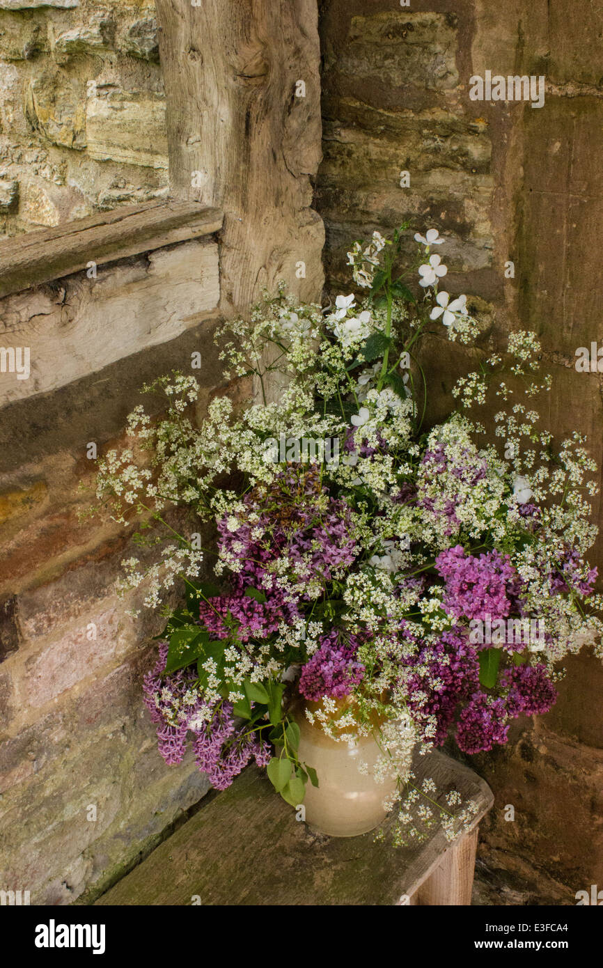 Victorian garden plants hires stock photography and images Alamy