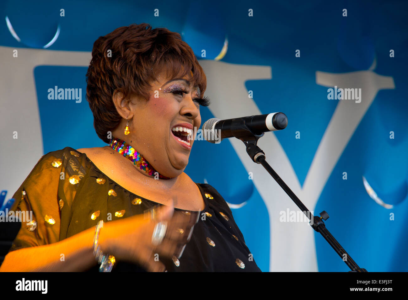 Linda Cole, niece of the late-great Nat King Cole, sings at the 33rd annual St. Augustine Lions Seafood Festival, FL Stock Photo