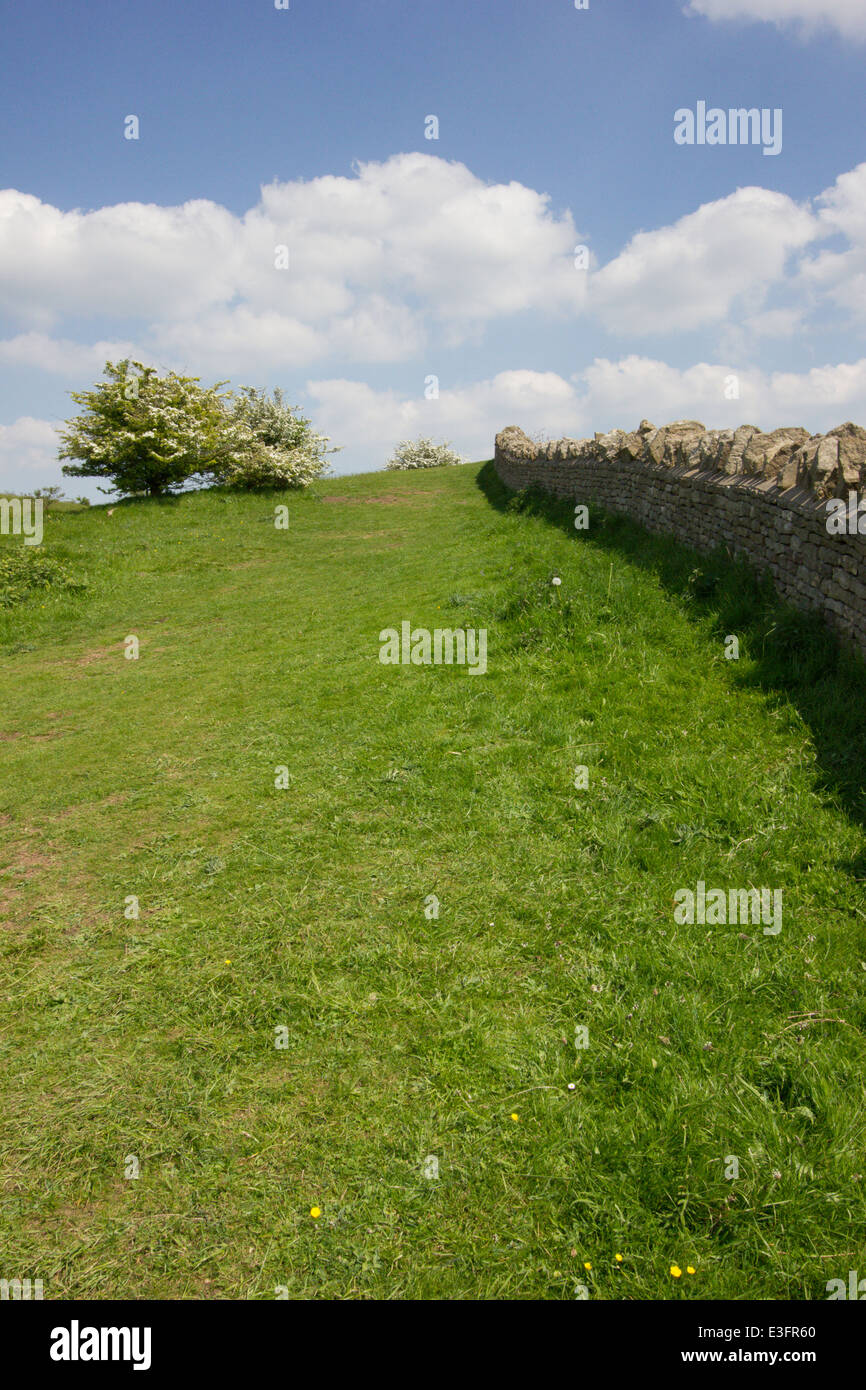 Leckhampton Hill and Charlton Kings Common lie within the Cotswolds