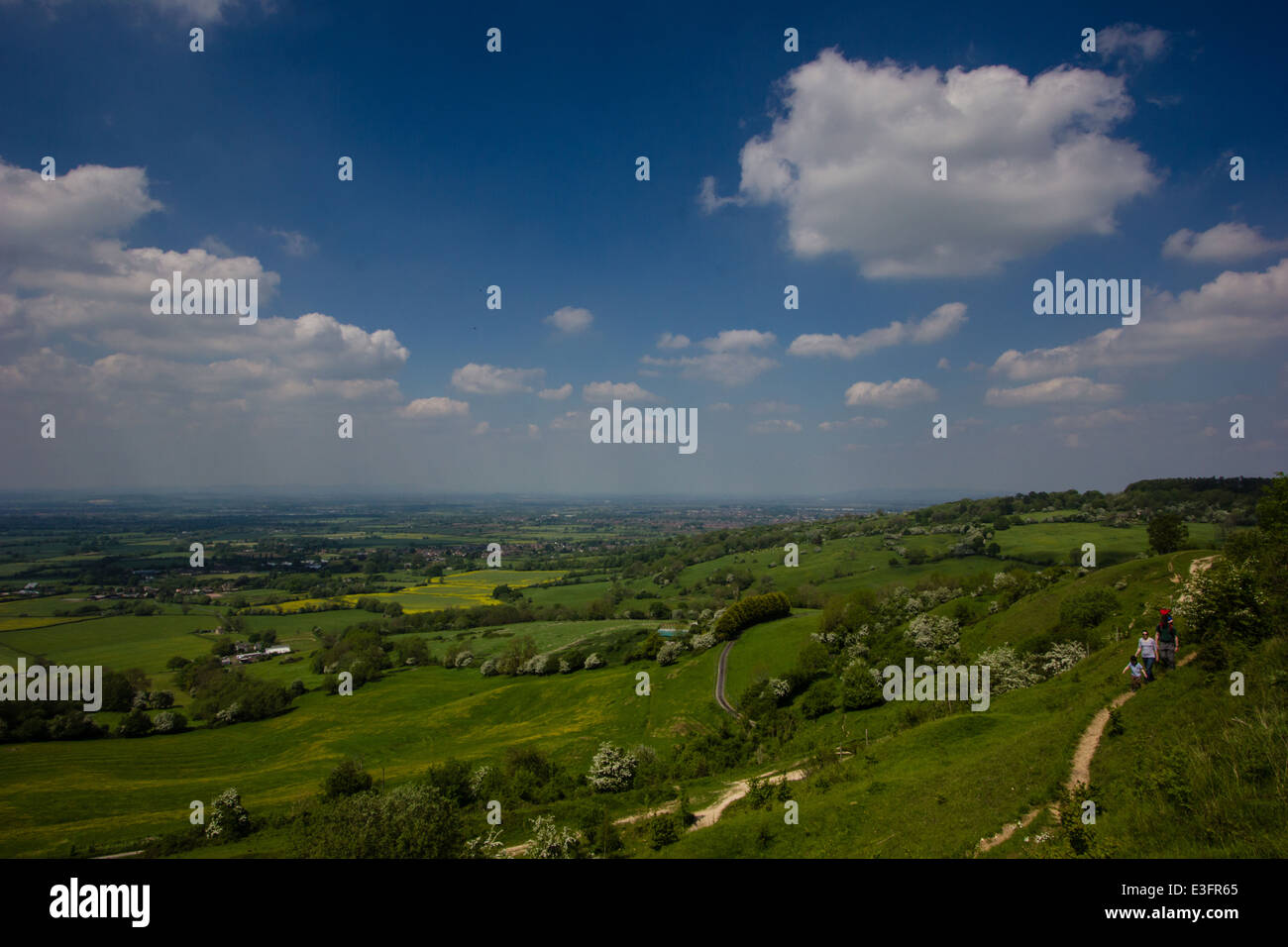 Leckhampton Hill and Charlton Kings Common lie within the Cotswolds