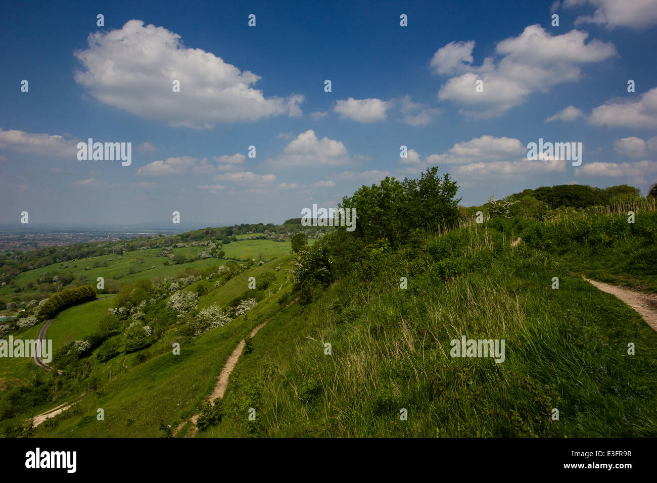 Leckhampton Hill and Charlton Kings Common lie within the Cotswolds