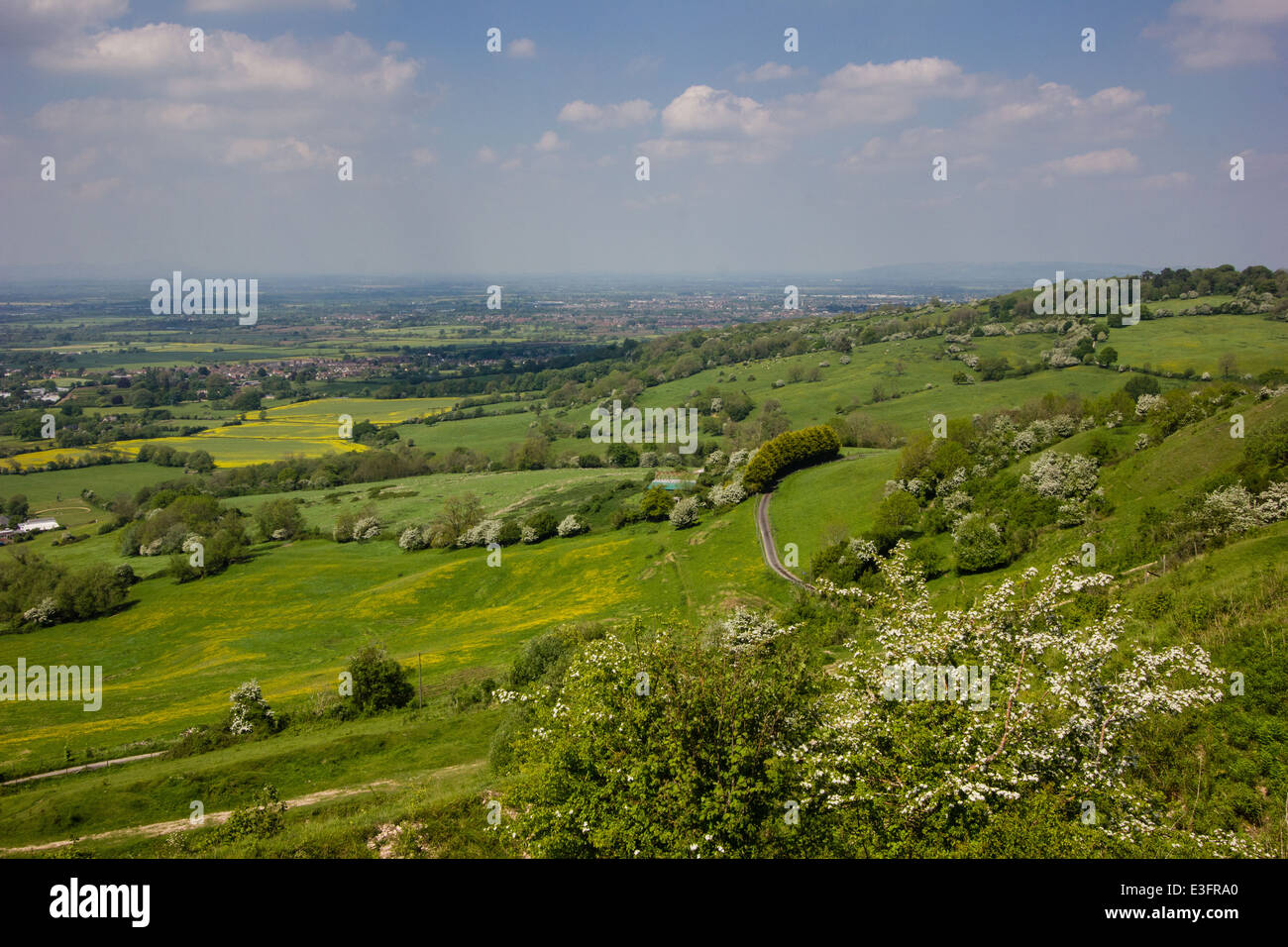 Leckhampton Hill and Charlton Kings Common lie within the Cotswolds