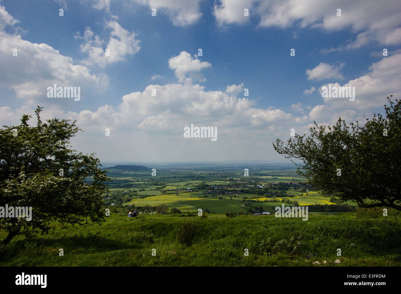 Leckhampton Hill and Charlton Kings Common lie within the Cotswolds