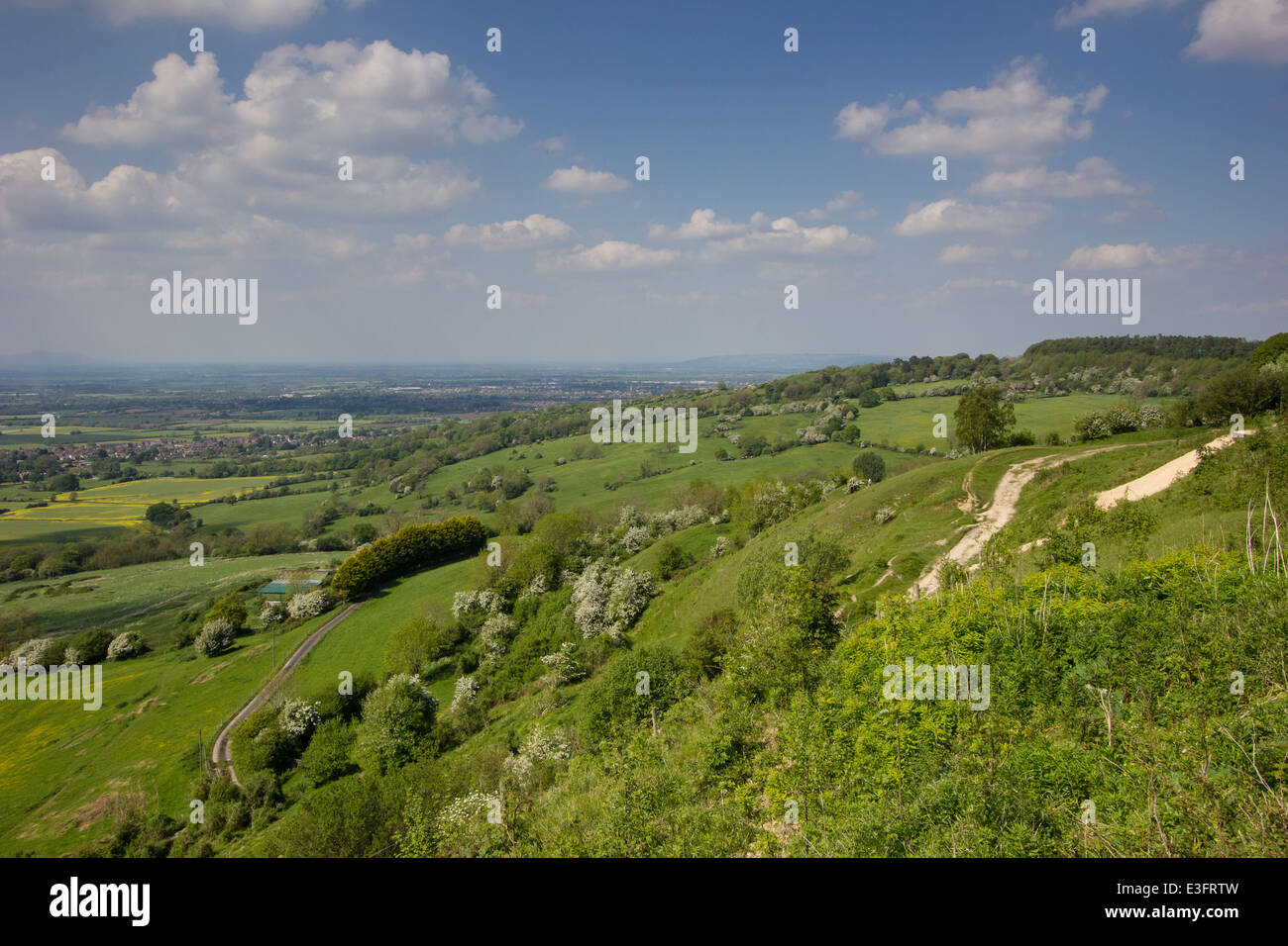 Leckhampton Hill and Charlton Kings Common lie within the Cotswolds
