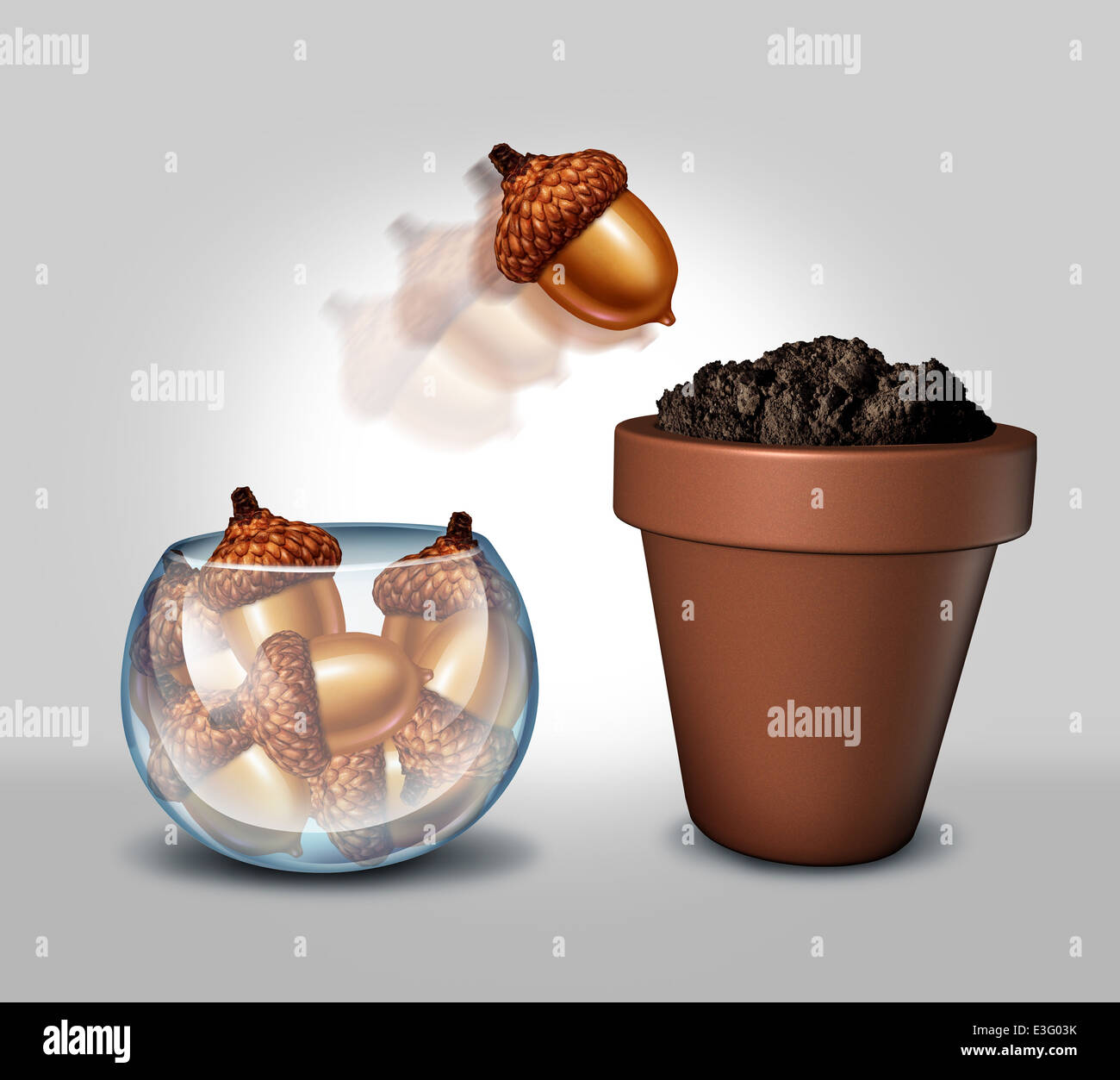 Individualism and freedom concept as a glass bowl containing a group of acorn seeds with one individual seed jumping out and into a flower pot with fertile soil as a metaphor for growth. Stock Photo