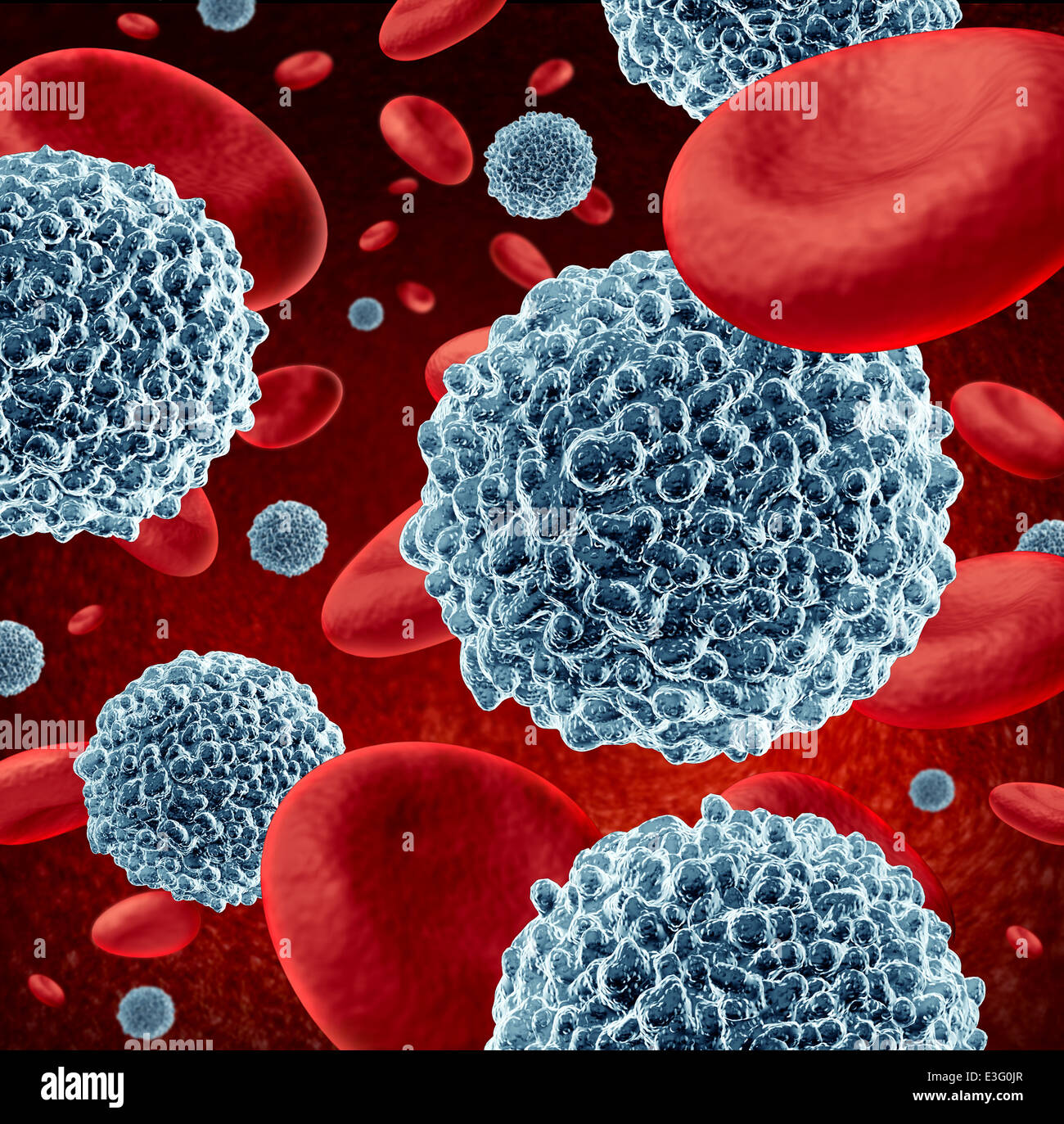 mælk oase lampe White blood cells flowing through red blood as a microbiology symbol of the  human immune system fighting off infections defending and protecting the  body from infectious disease Stock Photo - Alamy