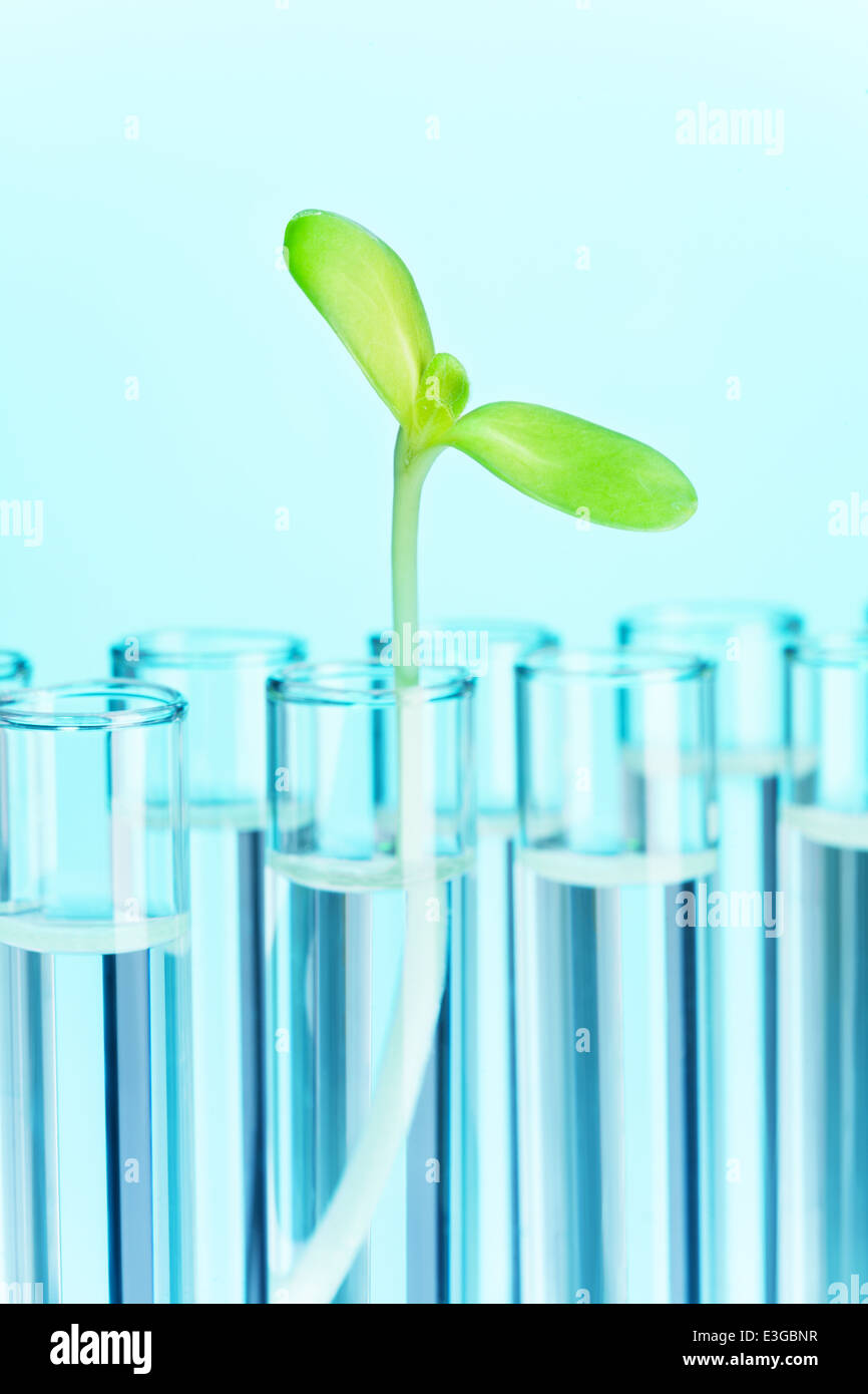 Пробирка заполнена водой. Пробирки. Пробирки с синей жидкость с осадком. Пробирка с синим раствором. Пробирки.