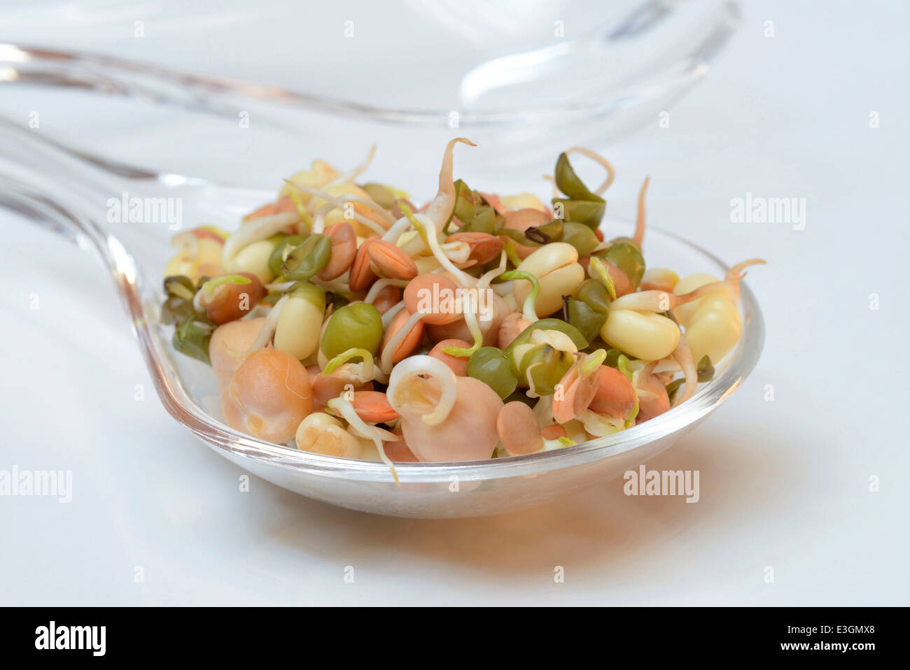 Sprouts mixture Stock Photo