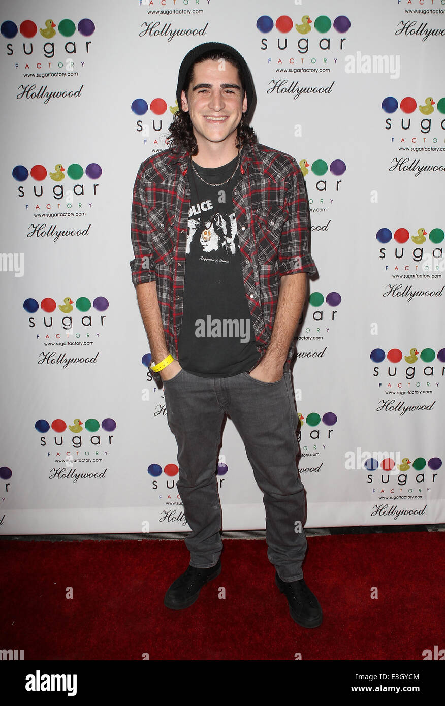 Grand Opening Of Sugar Factory Hollywood At Sugar Factory Store