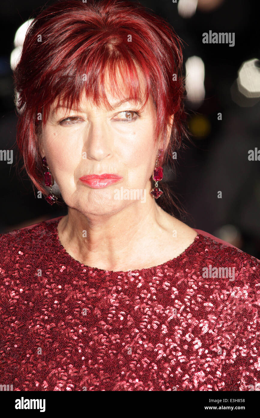 London Evening Standard Theatre Awards held at the Savoy - Arrivals  Featuring: Janet Street Porter Where: London, United Kingdom When: 17 Nov 2013 Stock Photo