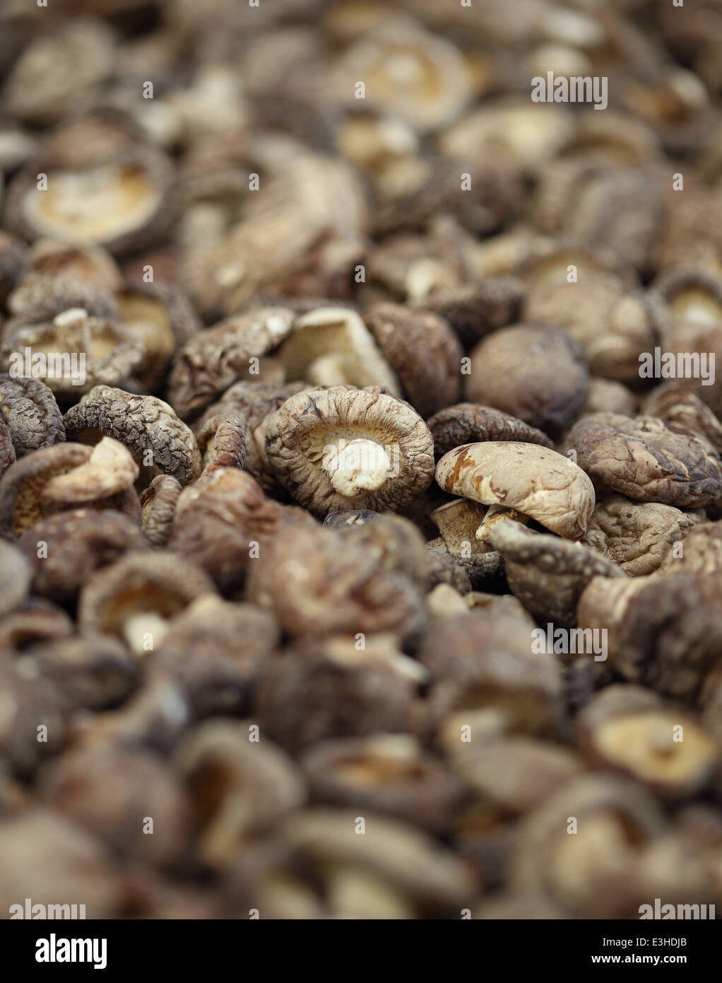 Dried shiitake mushrooms hires stock photography and images Alamy