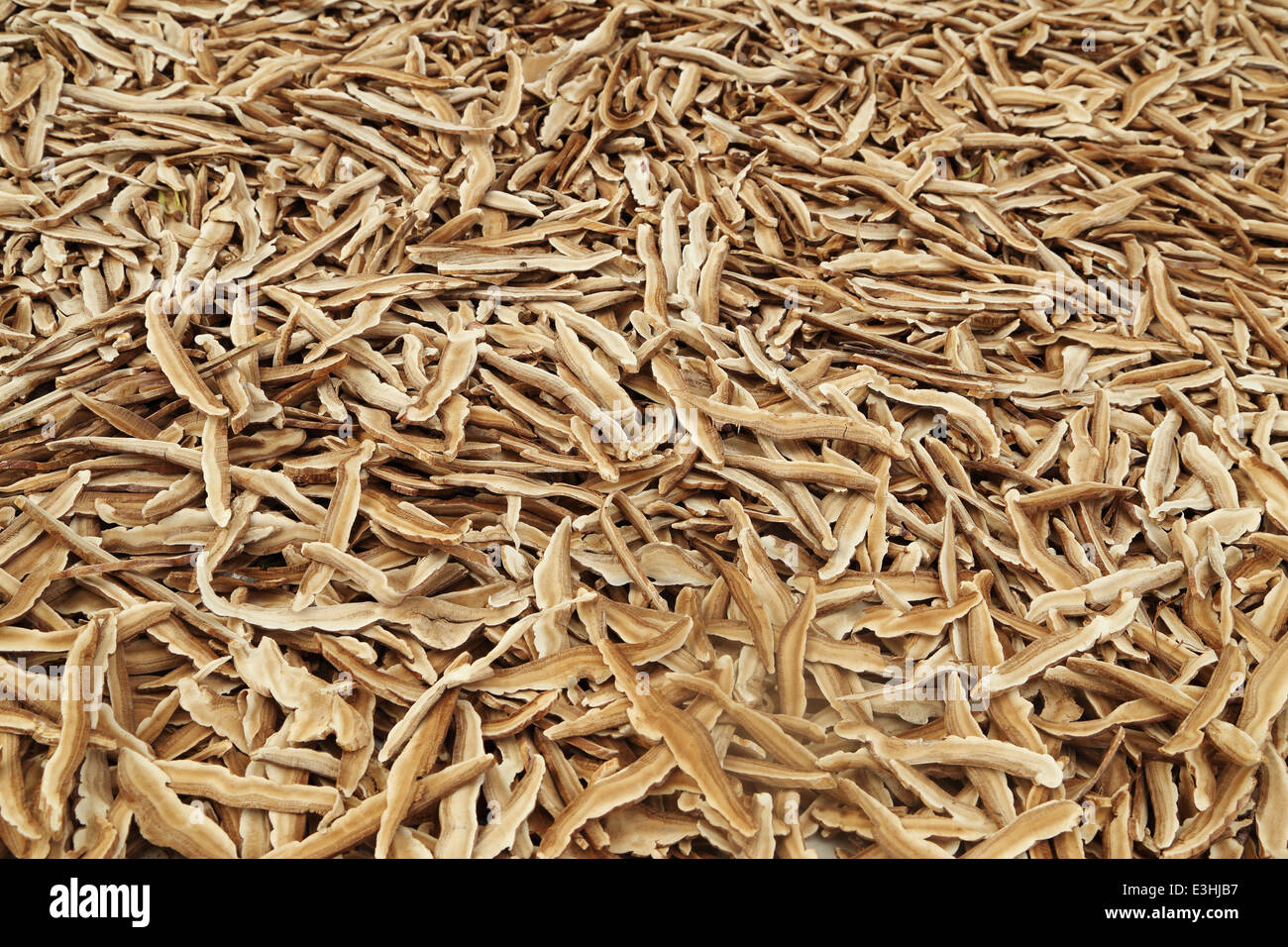 Dried Lingzhi mushroom ,traditional chinese medicine Stock Photo Alamy
