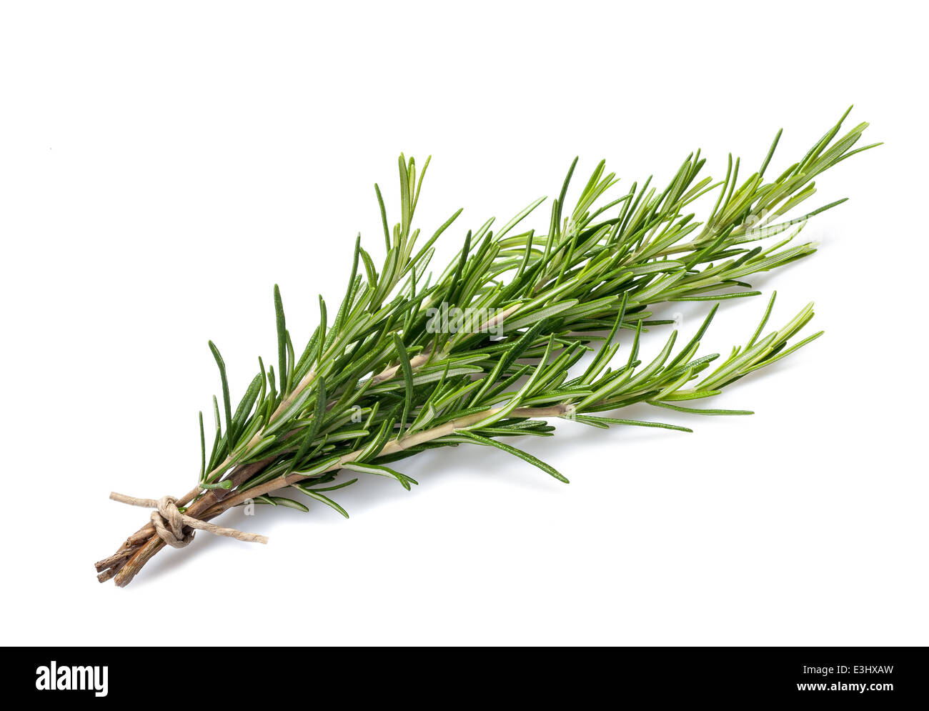 rosemary branch Stock Photo