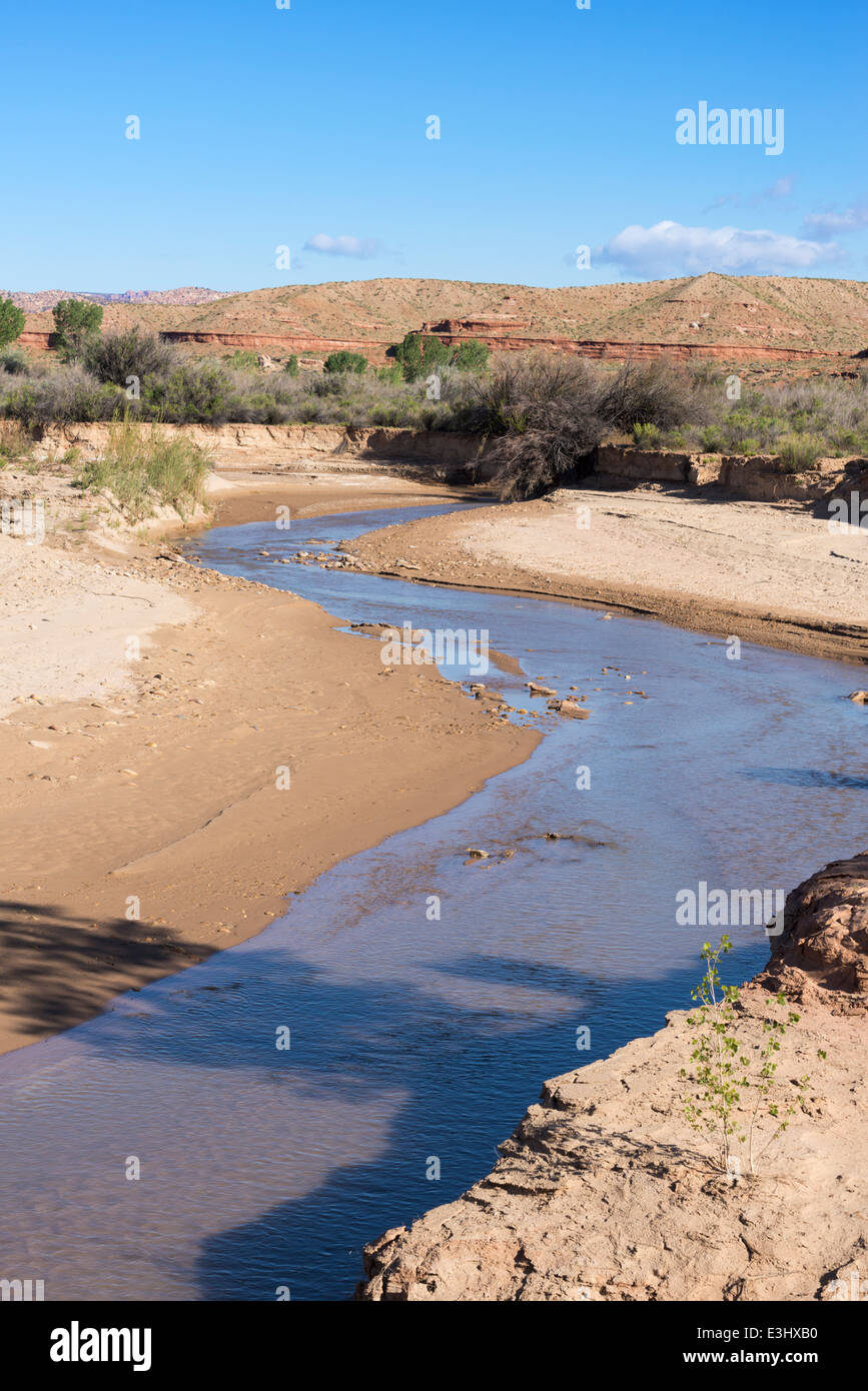 Paria River In The Desert Of Southern Utah Stock Photo Alamy