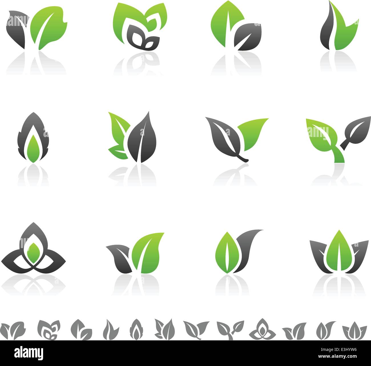 Set of 12 abstract green leaf icons and graphics Stock Vector Image ...