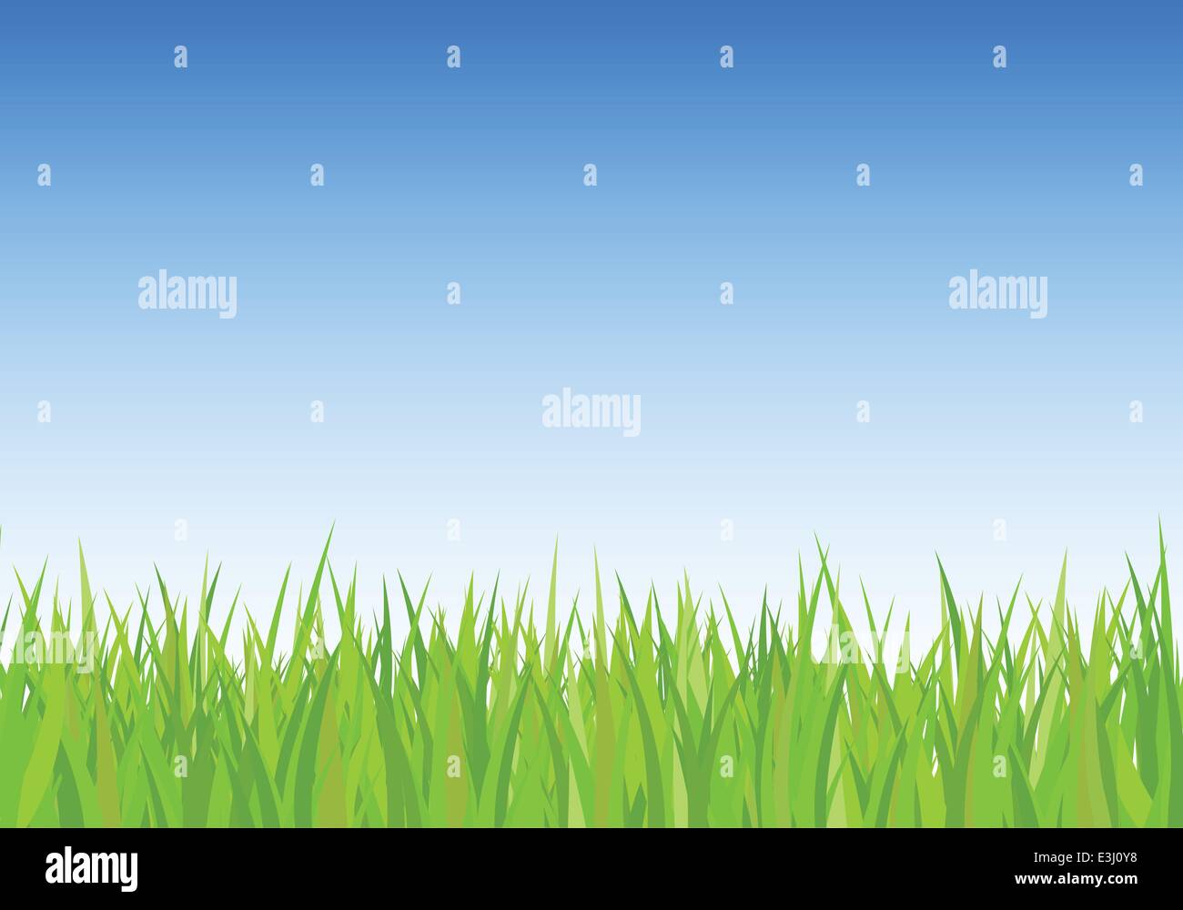 Green grass field and blue sky vector background Stock Vector Image ...